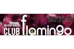 CLUB flamingoメインロゴ
