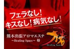 〜Healing Space〜 椿 TSUBAKIメインロゴ