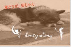 honey storyメインロゴ