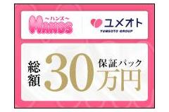 横浜ＨＡＮＤＳメインロゴ